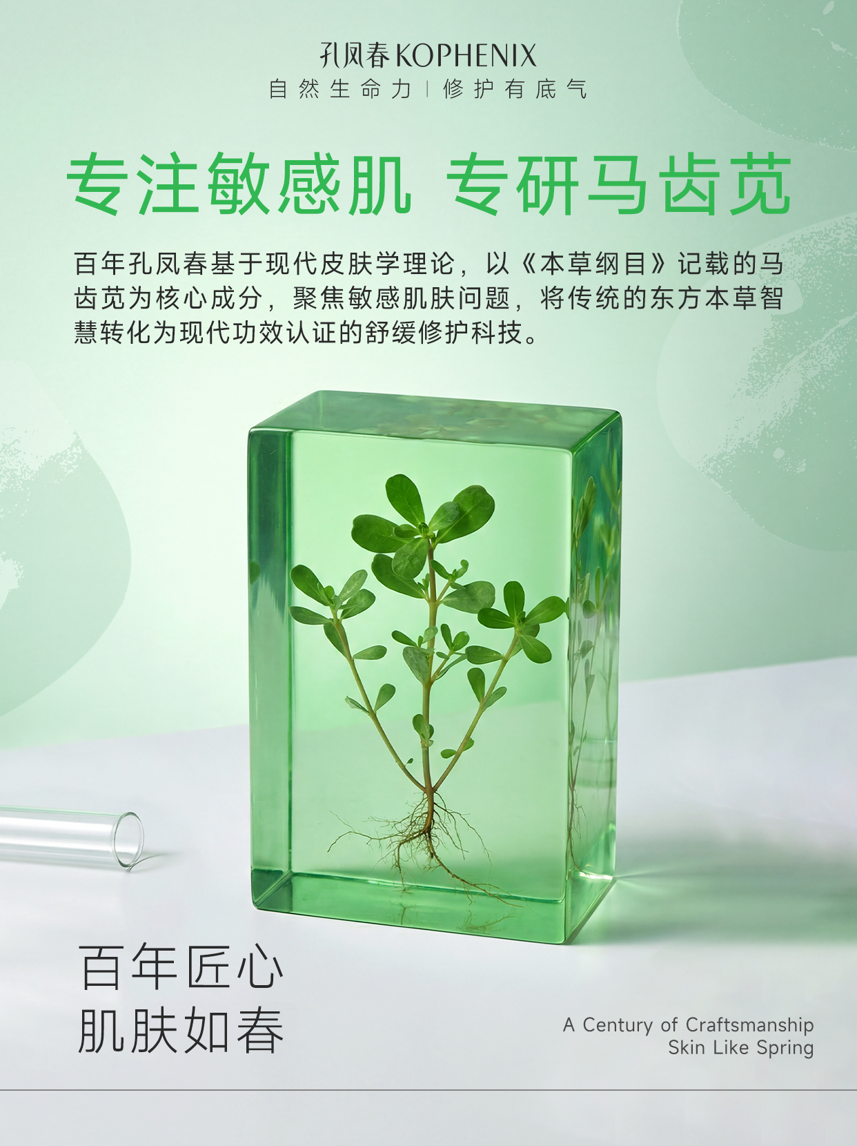 科学解码马齿苋,孔凤春坚守百年匠心