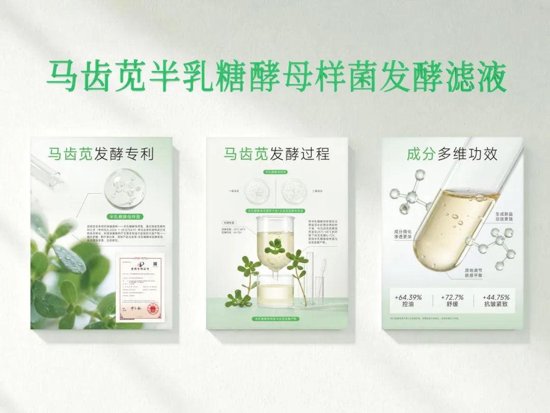 引领马齿苋发酵时代,孔凤春以硬核科研突围敏肌赛道
