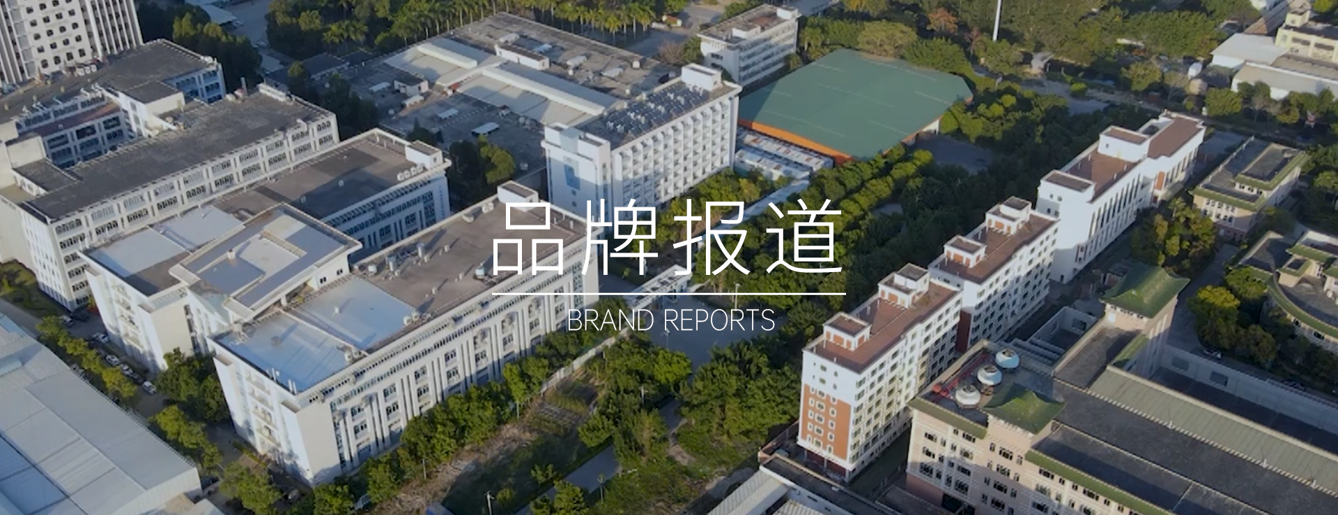 品牌报道 